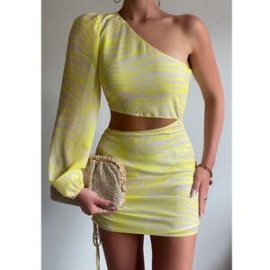 Runaway The Label Zebra Print Dress